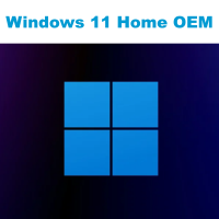 Купить ключ Windows 11 Home OEM