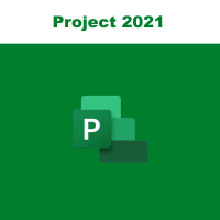 Купить Project 2021